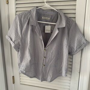 We The Free Blue Striped Cropped Collared Shirt